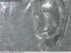 1966-PE1-00.jpg