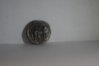 DSC08460.jpg