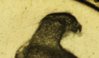 maltese_1975_falcon_rev_close.jpg