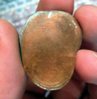 amtrak penny.jpg