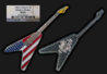 2004_Somalia_Guitar_NGC_PF69_StarsAndStripes_composite.jpg