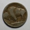 DatelessBuffaloReverse.jpg