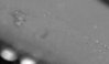 DSCN1959.JPG