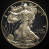 Daniel Carr 2009 SAE Proof-Obv.jpg