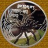 spider.jpg