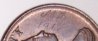 100_5273.JPG