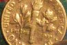 100_2466.JPG