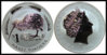 2008kiwi.jpg