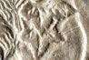 1880 morgan dollar 1.jpg
