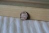 penny 002 (1600x1067).jpg
