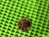 coin1.jpg
