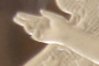 the_hand_01.jpg
