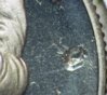 1981-S  DAMAGE.jpg