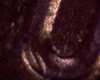 The U in the word TRUST at 400x magnification possible double strike.jpg