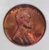 1955-D NGC seller O.jpg