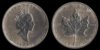 5-Dollars-Maple-Leaf-Bullion.jpg