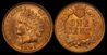 1891 indian.jpg