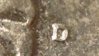 1969D quarter RPM (2).jpg