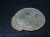 DSC02110.jpg