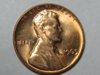 1965find.jpg