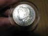 morgan dollars 012.jpg
