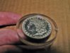 morgan dollars 006.jpg