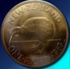 kiwi_florin_r.jpg