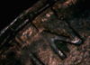 88traildie 1.png