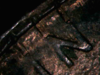 88traildie.png