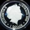 kangaroo snip back.jpg