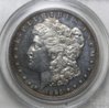 1895dollar1.jpg
