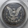 1895dollar2.jpg