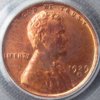 1929-D PCGS O.JPG