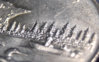 Reverse 4.jpg