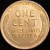 1927D wheat 002.JPG