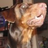 DSC04664 - Copy.JPG
