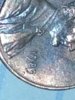 IMG_20121002_074446.jpg