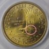 2000P Wounded Eagle detail.jpg