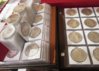 Silver Dollars 500.jpg