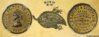 SmithHartmannBanner.jpg