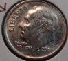 Dime reeding 2.jpg