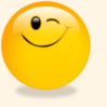 Small%20wink.gif