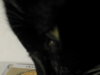 Dscn5291.jpg