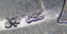 Artists Initials.JPG