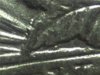 1921-S01.jpg