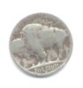 buffalo nickel.jpg