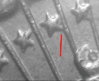 67 BS DDR-003.jpg