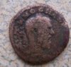 coin1.jpg