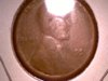 1951rubbed1.jpg