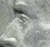 Dscf1667.jpg